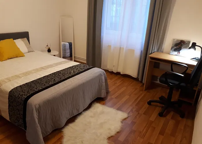 Sunny Cozy Apartament Floreasca